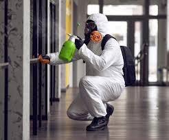 Best Mold Remediation for Healthcare Facilities  in Ada, OH